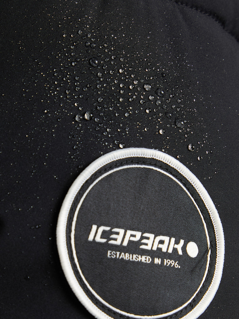 Пуховик мужской IcePeak Avondale