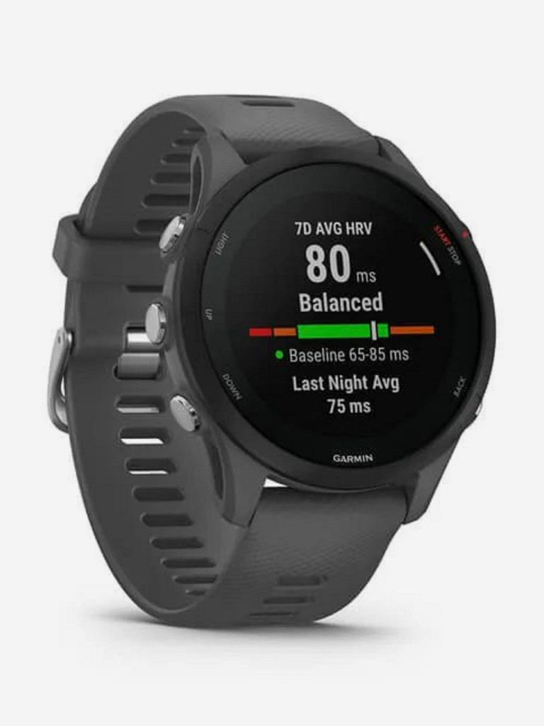 Часы Garmin Forerunner 255 с темно-серым ремешком Slate Grey 010-02641-10