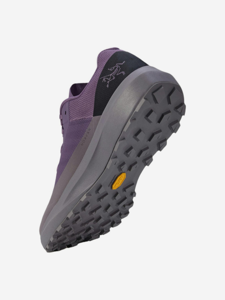 Кроссовки мужские Arc'teryx Norvan LD 4