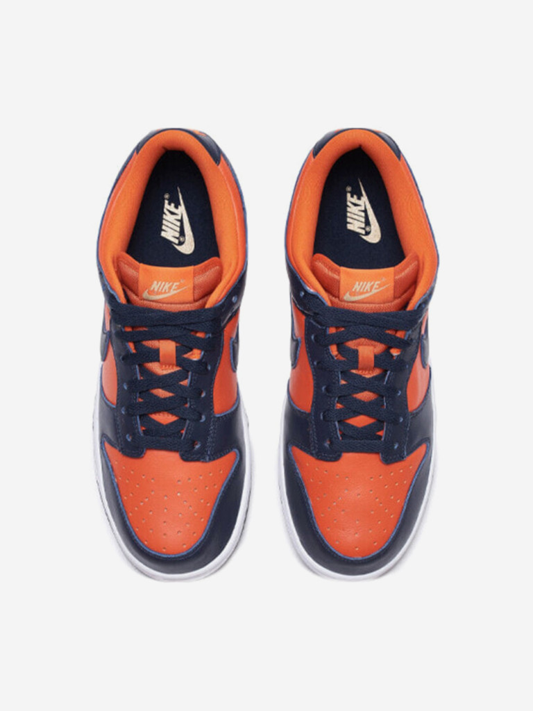Кеды мужские Nike Dunk Low SP