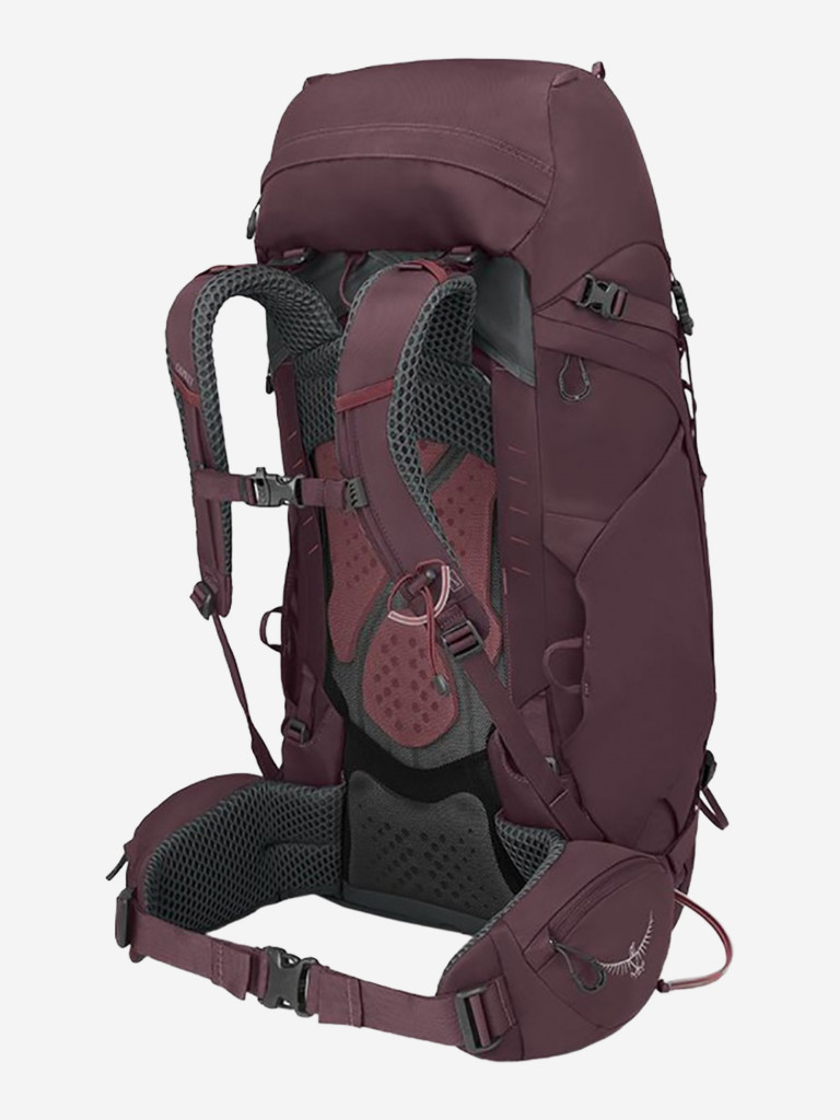 Рюкзак Osprey Kyte 48 Elderberry Purple