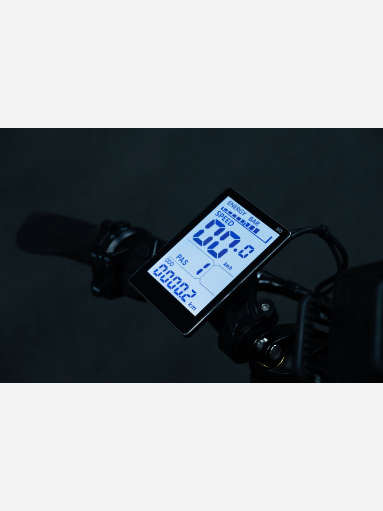 Электровелосипед EasyRider A-Type