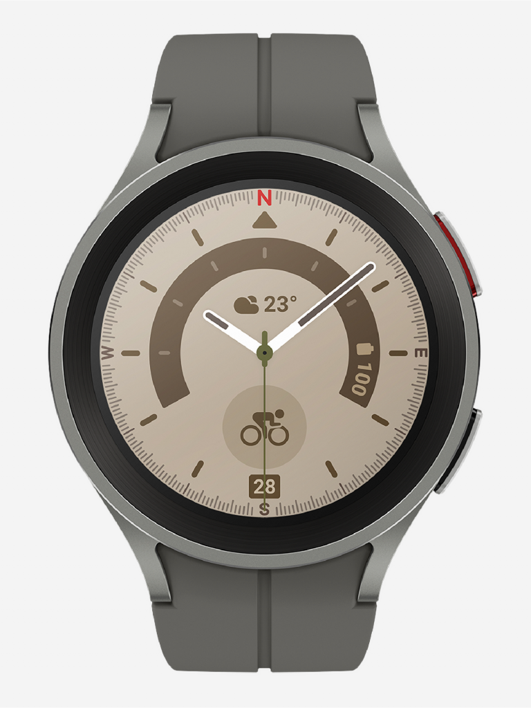 Смарт-часы Samsung Galaxy Watch5 Pro серый титан