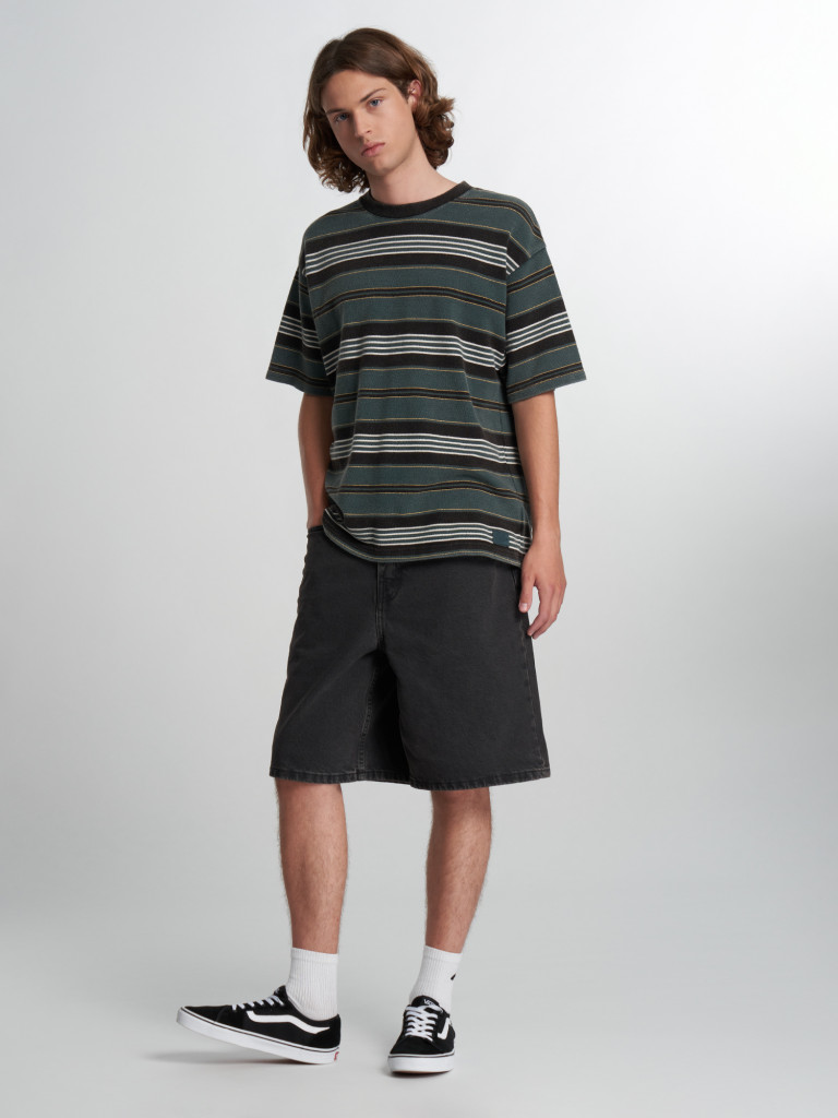 Шорты мужские Vans Check-5 Baggy Denim
