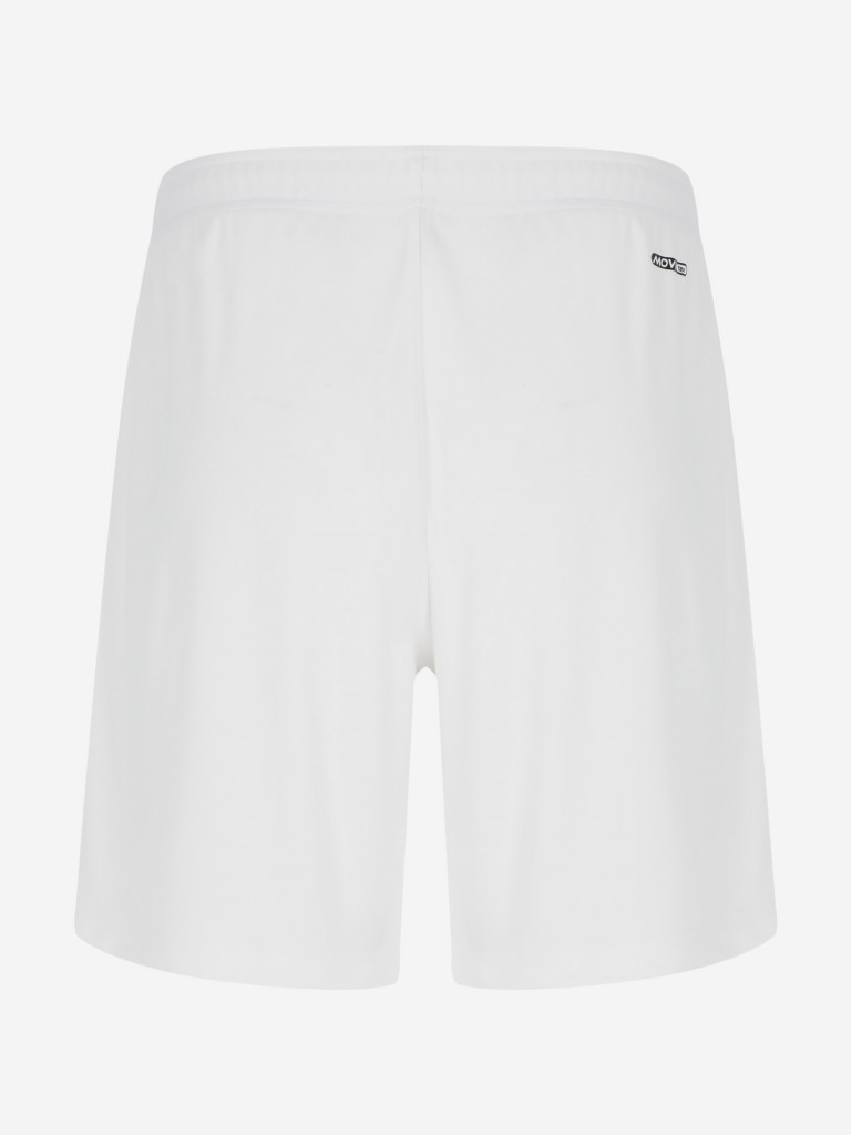 Шорты мужские Demix Legacy