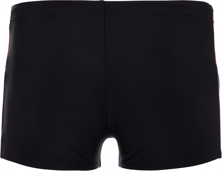 Плавки-шорты мужские Speedo Dive