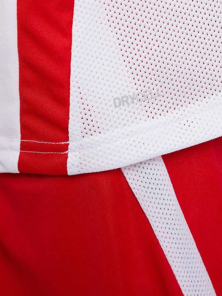 Футболка мужская PUMA teamGOAL 23 Jersey