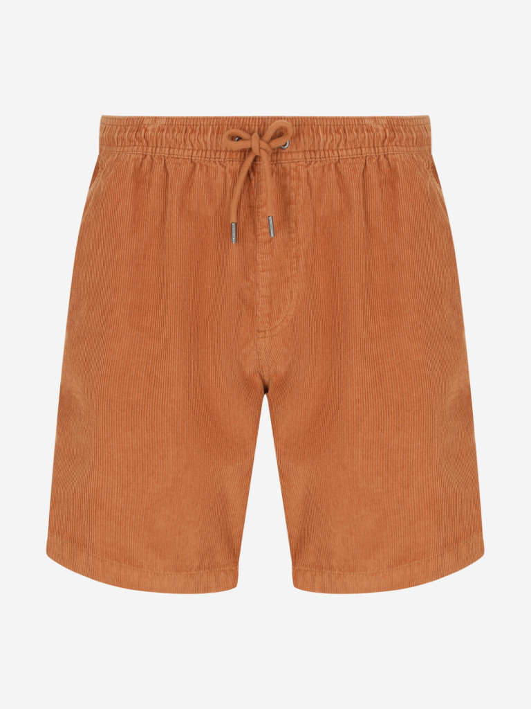 Шорты мужские Quiksilver Taxer Cord