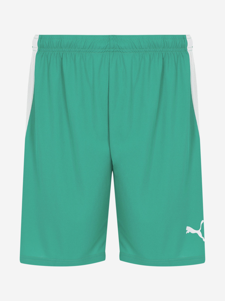 Шорты мужские PUMA teamLIGA