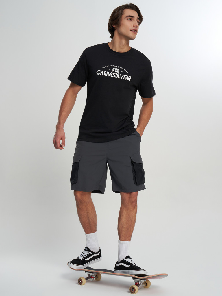 Футболка мужская Quiksilver Ev Vista