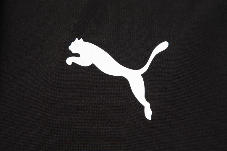 Спортивный костюм мужской PUMA