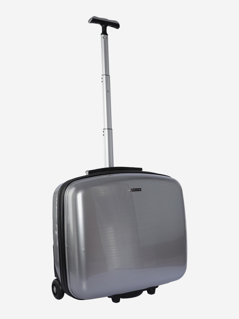 Чемодан RION+ S