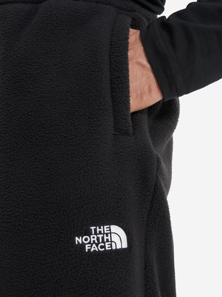 Брюки флисовые мужские The North Face Fleeski