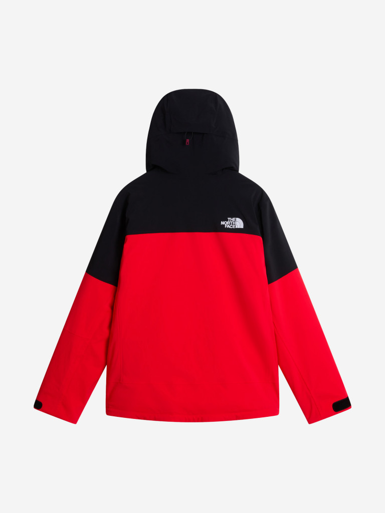Куртка горнолыжная мужская The North Face