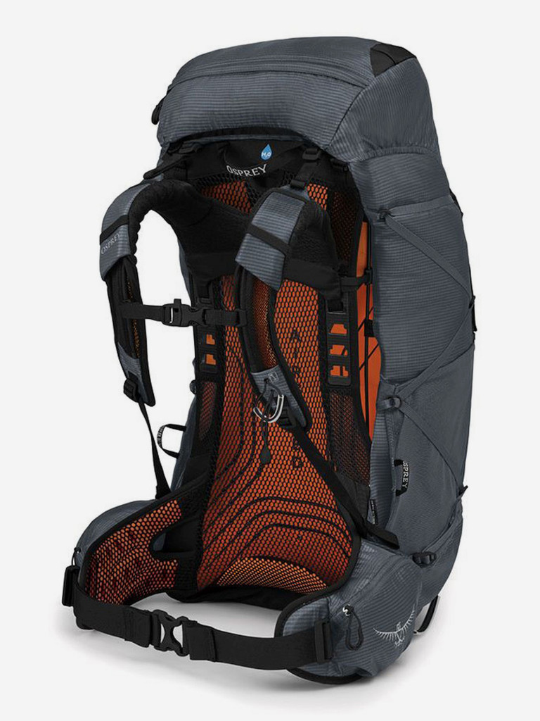 Osprey exos 58. Exos рюкзак 58. Osprey Exos 48. Osprey Exos 38.