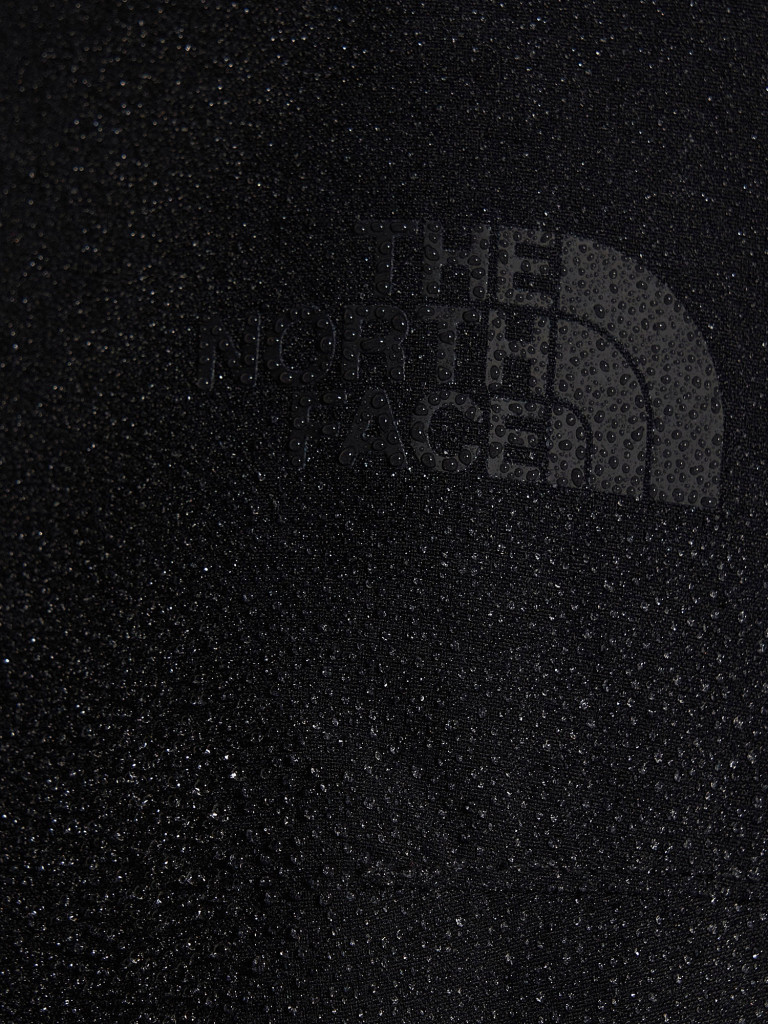 Брюки мужские The North Face Basin Pant