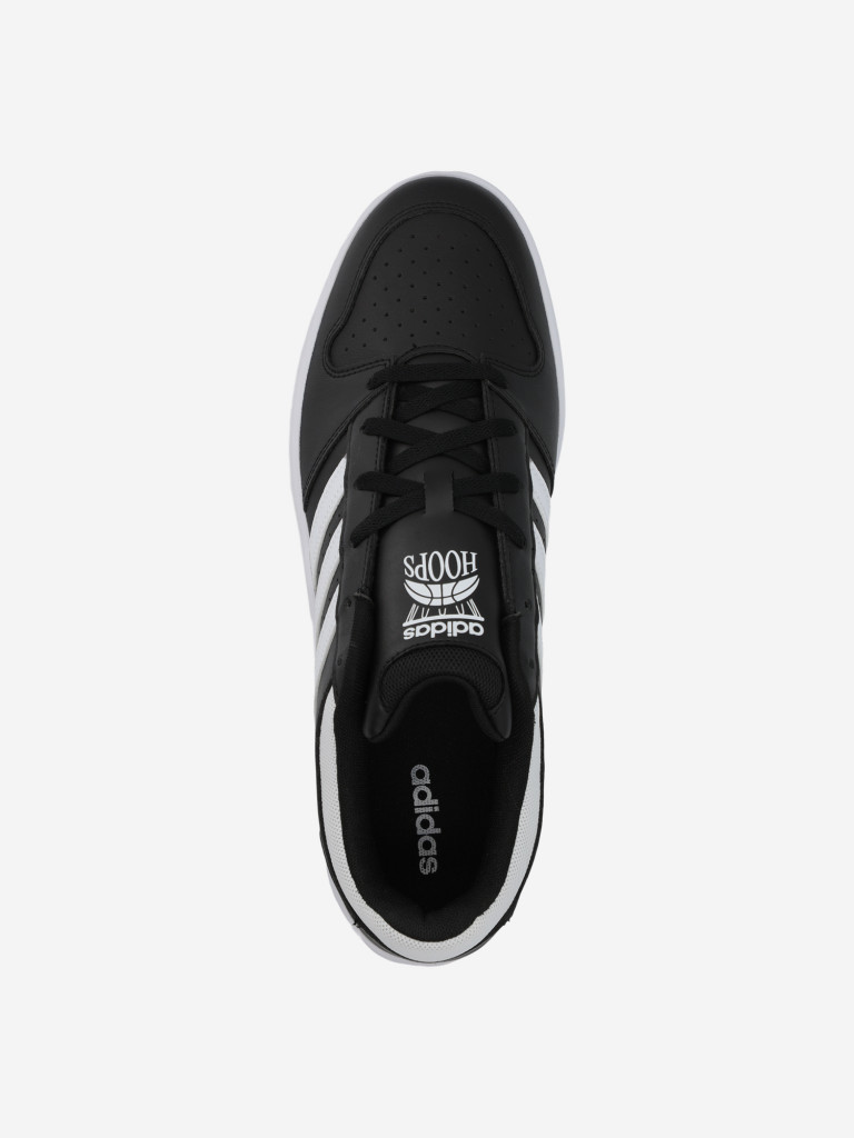 Кеды мужские adidas Hoops Classic