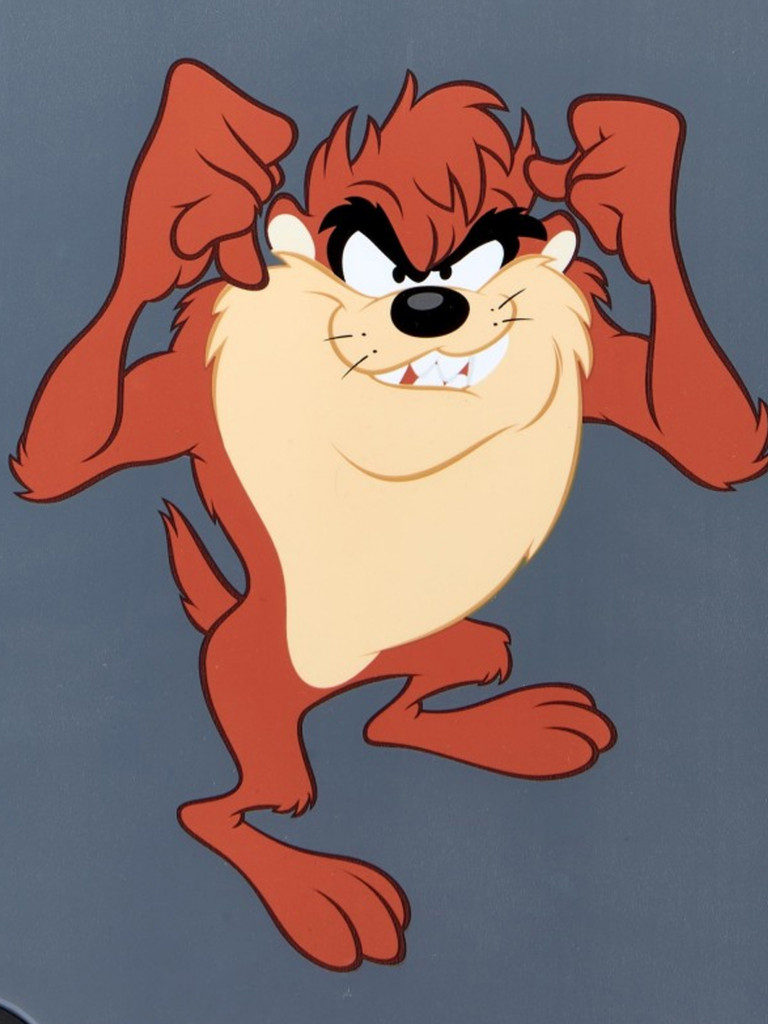 Чемодан Roncato Looney Tunes Taz