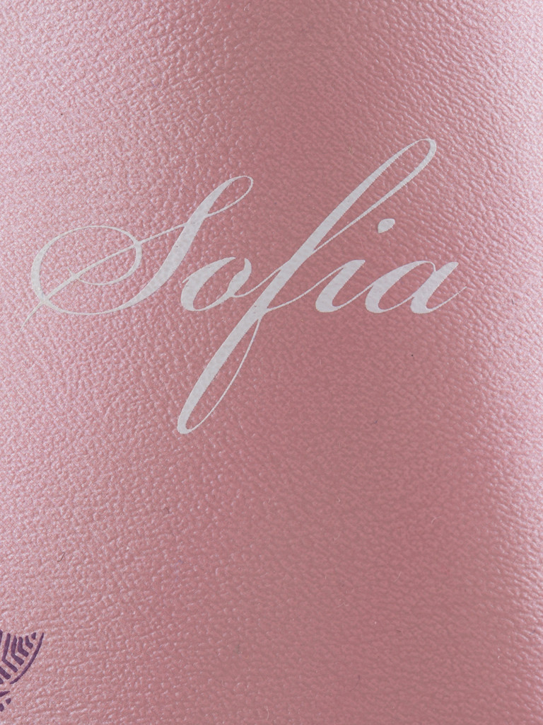 Коньки фигурные женские Nordway Sofia