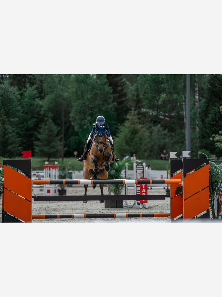 Ушки для лошади ATMO Equestrian