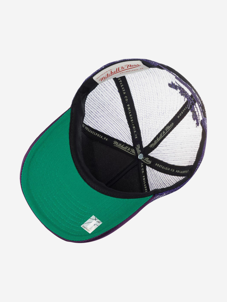 Бейсболка MITCHELL NESS HHSS3467-TRAYYPPPPURP Toronto Raptors NBA
