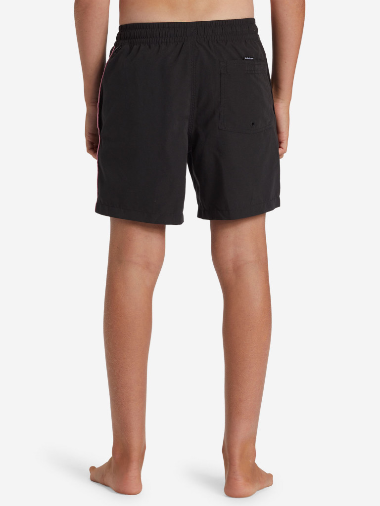 Шорты плавательные для мальчиков Quiksilver Vert