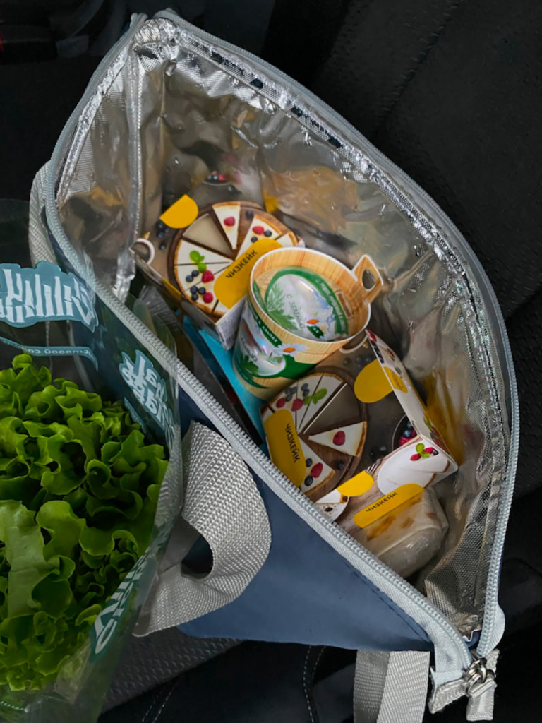 Сумка-холодильник, классическая, тм "Арктика", 10 л, арт.3100-10, синяя