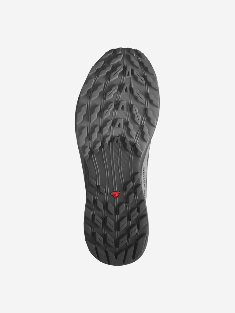 Кроссовки мужские Salomon Sense Ride 5 GTX