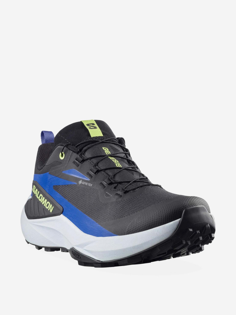 Кроссовки беговые Salomon Genesis GTX