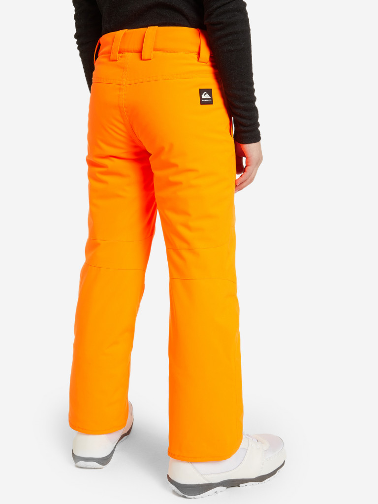 Брюки сноубордические для мальчиков Quiksilver Arcade