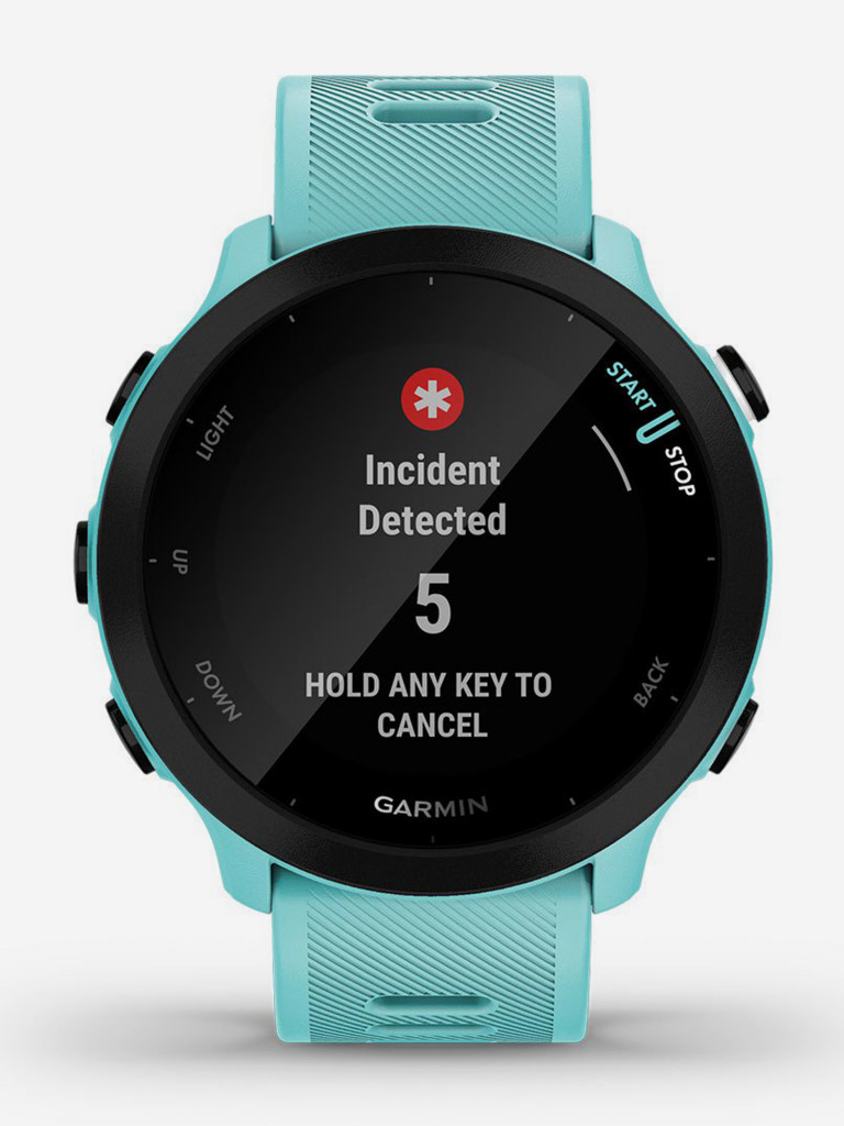 Спортивные наручные часы Garmin Forerunner 55 Aqua