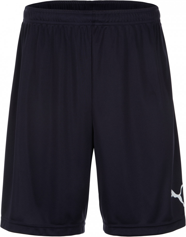 Шорты мужские PUMA Ftblplay