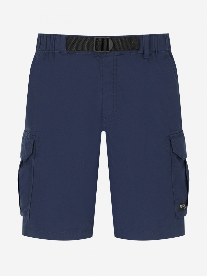 Шорты мужские Protest Синий 2999₽