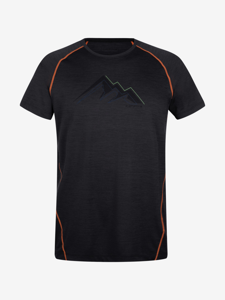Футболка мужская IcePeak Destin