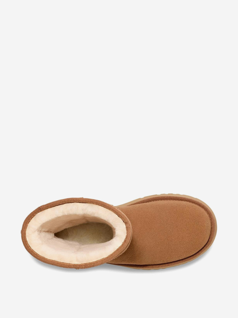 Сапоги утепленные UGG Classic Short New Heights