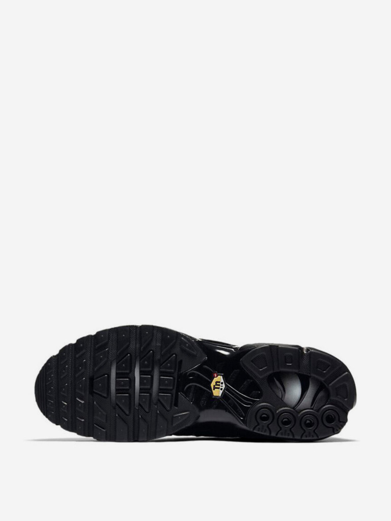 Кроссовки Nike Air Max Plus