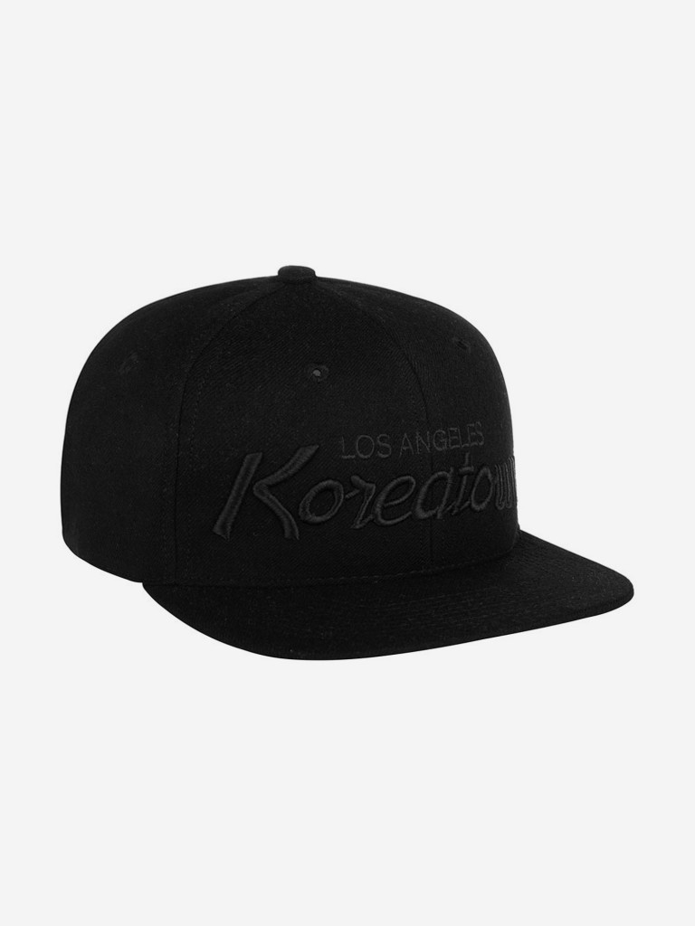 Бейсболка с прямым козырьком HOOD 100-MWL025-CA016-BK Koreatown Tonal 3D (черный)