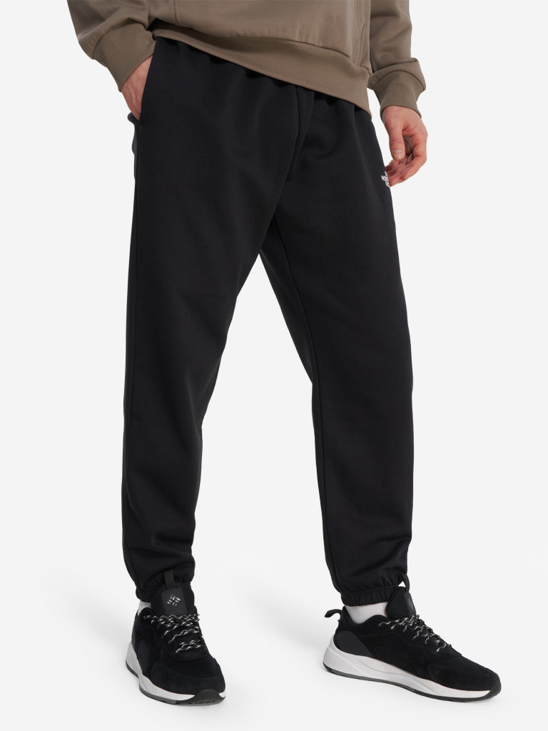 Брюки мужские The North Face Simple Dome