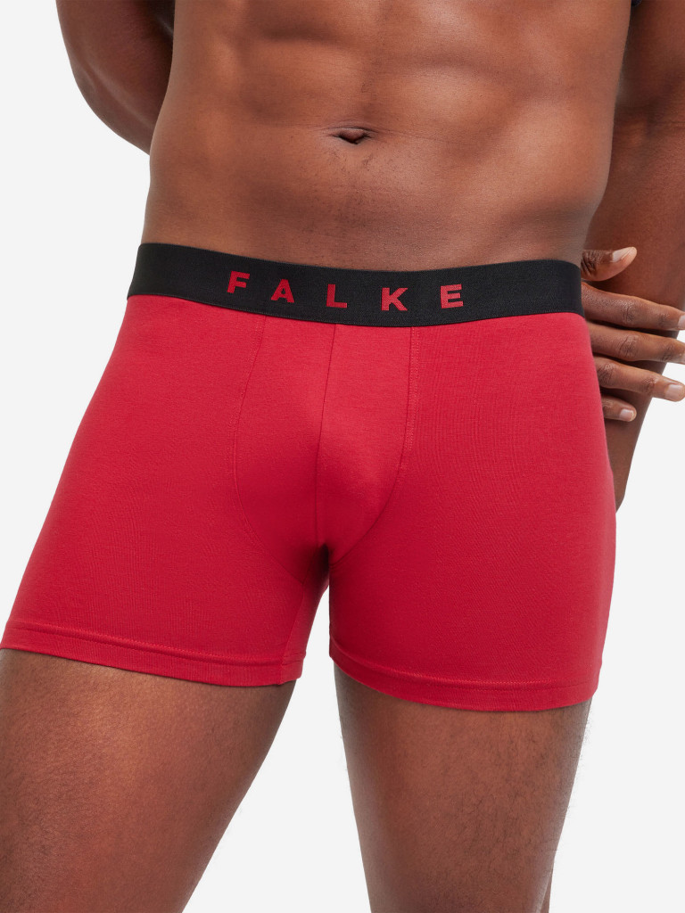 Набор мужских трусов FALKE