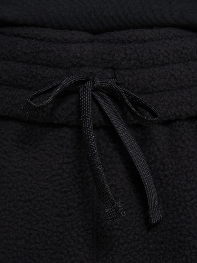 Брюки флисовые мужские The North Face Fleeski