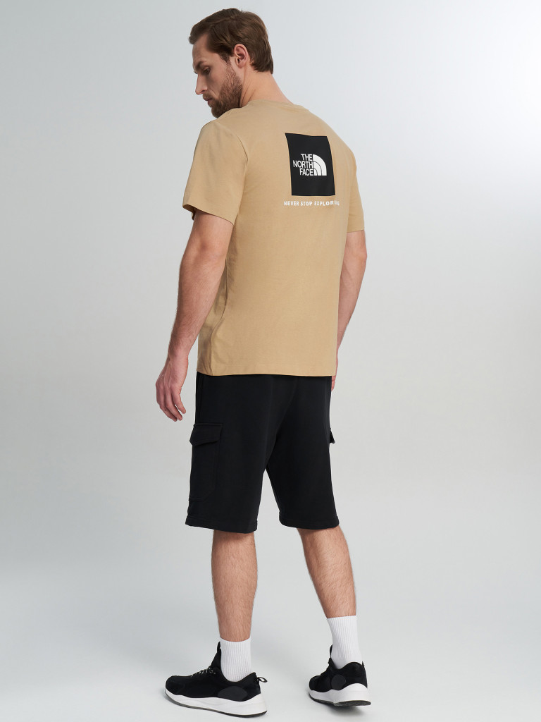 Футболка мужская The North Face Evolution