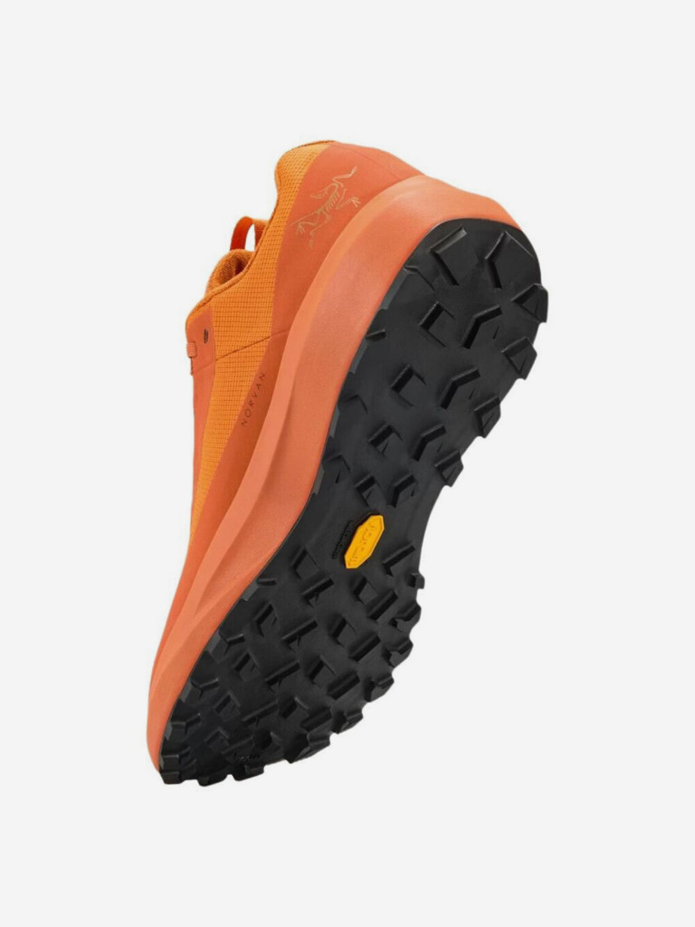 Кроссовки мужские Arc'teryx Norvan LD 4