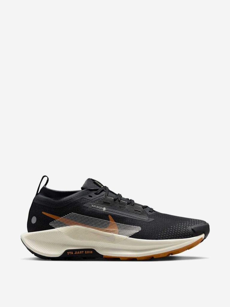 Кроссовки Nike Pegasus Trail 5