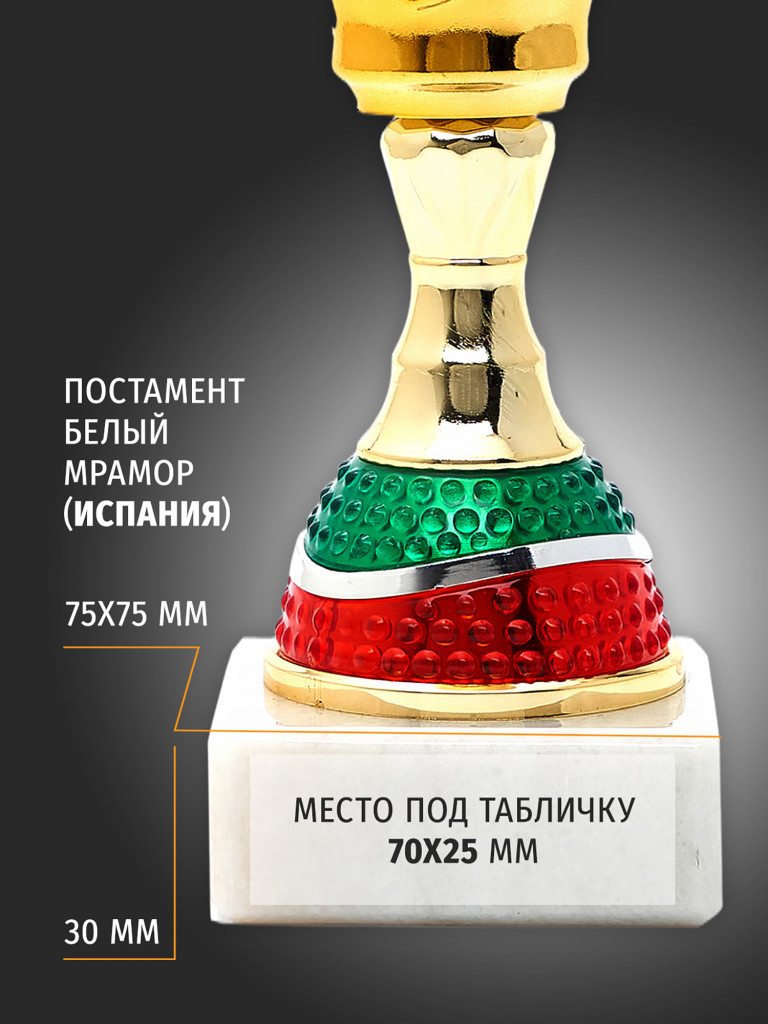 Спортивный кубок для награждения победителя 33.5 см