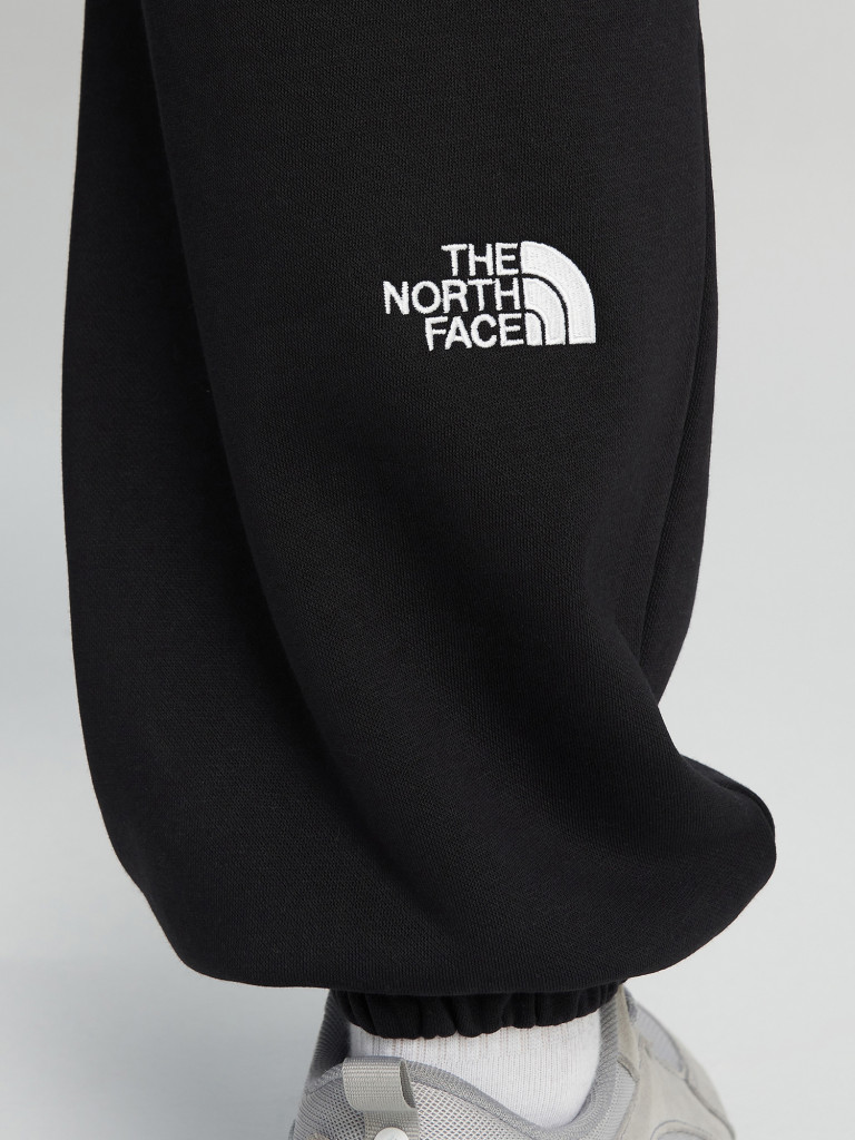 Брюки мужские The North Face Essential