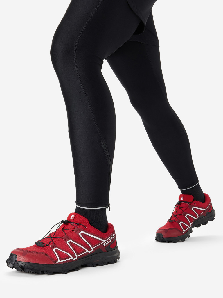 Кроссовки мужские Salomon Alkalin Trail