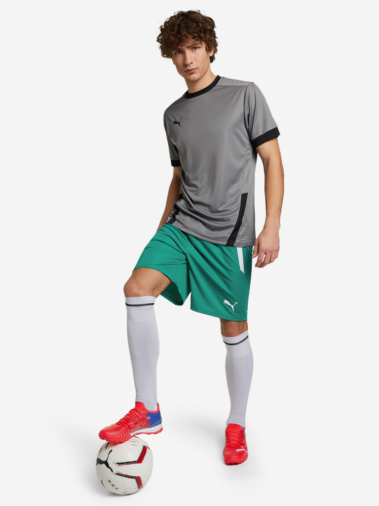 Шорты мужские PUMA teamLIGA