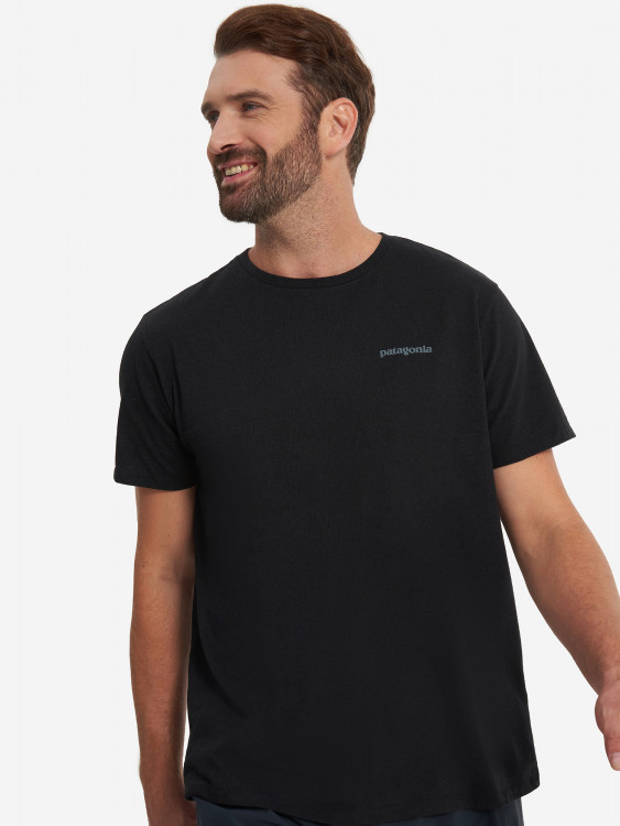 Футболка мужская Patagonia Fitz Roy Icon