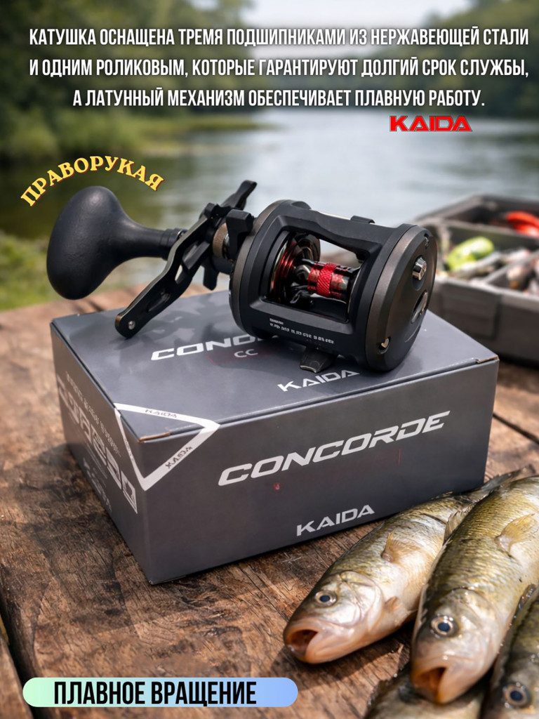 Катушка мультипликаторная KAIDA СONCORDE CC200R правая