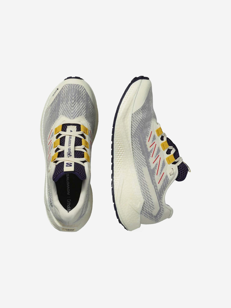 Кроссовки беговые Salomon Aero Blaze 3 GRVL GTX W